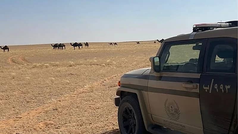 ضبط مواطن لمخالفته النظام البيئي بمحمية الإمام تركي