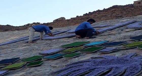 الاعتداء على المنتزه البري في العيص من قبل مجهولين