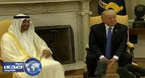 محمد بن زايد يبحث مع ترامب تعزيز التعاون المشترك