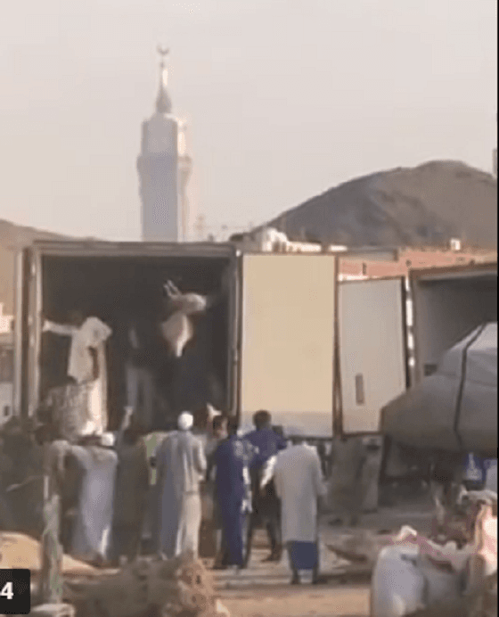 شاهد بالفيديو..توزيع عشوائي للحوم الأضاحي بمكة