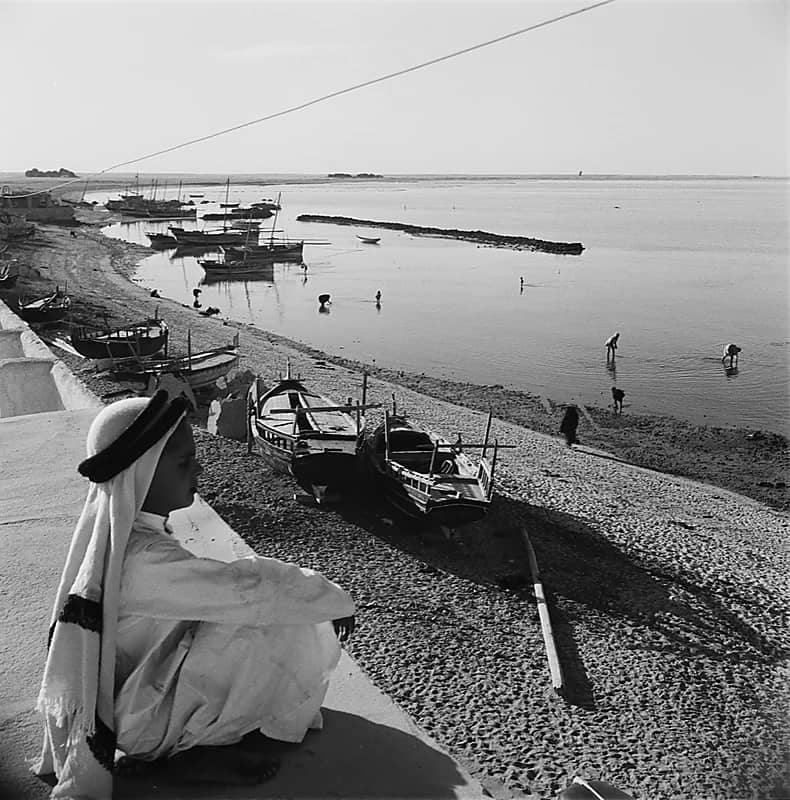 صورة رائعة لولد يراقب رجال يحصدون المحار في الجبيل