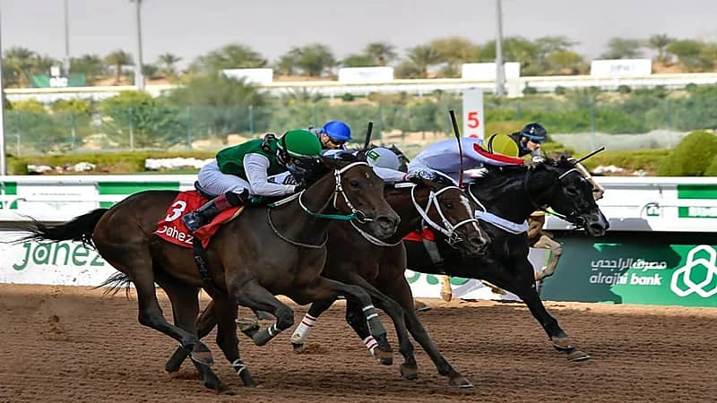 بالفيديو.. كيف تم نقل الخيل من أنحاء العالم إلى المملكة للمشاركة في كأس السعودية ؟