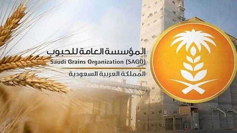 "الحبوب" تصدر بيان توضيحي بشأن البيانات المتداولة عن حجم إنتاج المطاحن