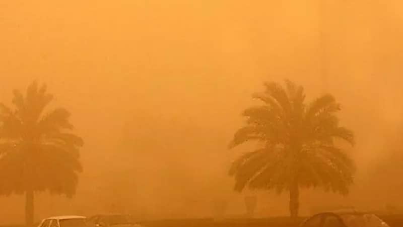 الحصيني: 2022 أقل الأعوام في العواصف الغبارية