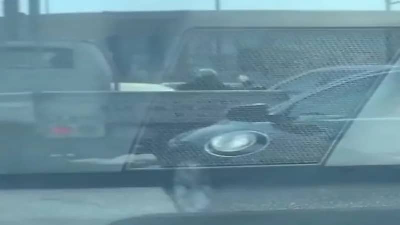 شاهد.. الجهات الأمنية المختصة تواصل جهودها بالقبض على المتسولين