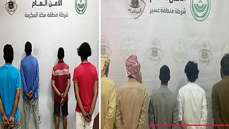 بالفيديو.. ضبط مجرمين ارتكبوا حوادث سطو وصدم ونقل مخالفين