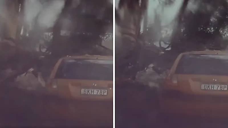 لحظة نجاة سائق من الموت..فيديو