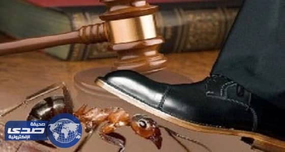 بالفيديو.. رسالة صادمة لإعلامي كويتي تُفحم أعداء المملكة