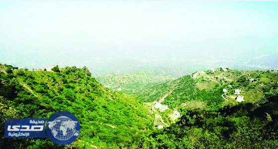 بالفيديو.. مذيع يتفاعل مع صور جوية لمرتفعات جازان الخلابة