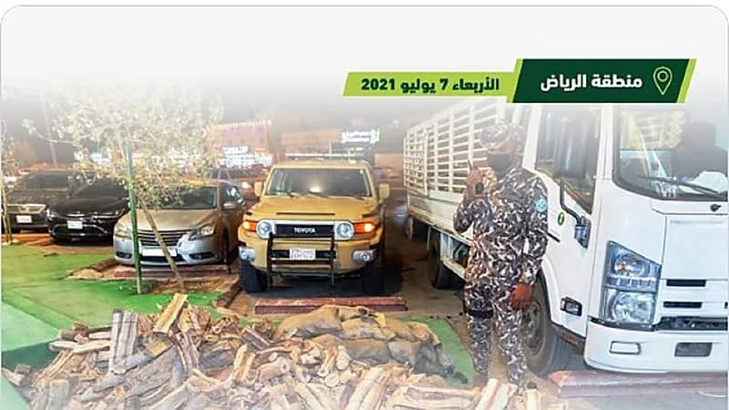 القوات الخاصة للأمن البيئي تضبط مخالفين لنظام البيئة لبيعهم حطبًا محليًا لأغراض تجارية