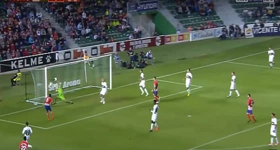 بالفيديو.. زوجان يكشفان عن نوع المولود من خلال " تمساح "