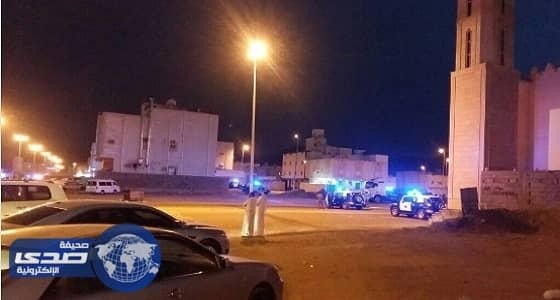 بالفيديو.. اصطدام سيارتين بسبب غزالة على إحدى الطرق السريعة