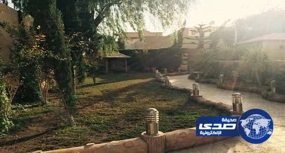 بالصور.. سرقة ذهب و70 ألف ريال وكلاب حراسة من استراحة بالطائف