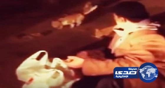 بالفيديو ..عامل يغادر المطعم بعد منتصف الليل يوميا  ليطعم القطط الجائعة