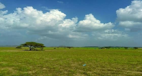 معاناة مستمرة مع ضعف وانقطاع الاتصالات