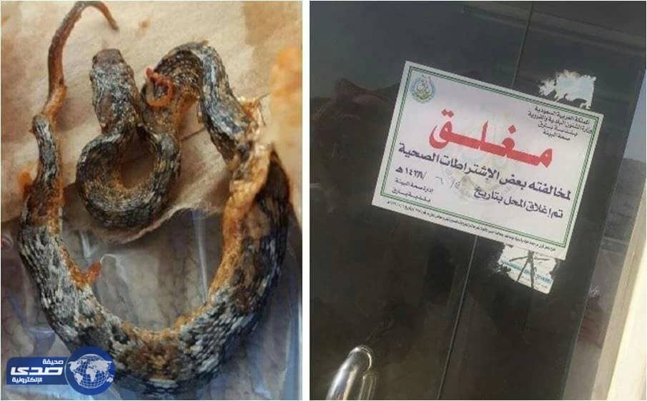 المطعم مقدم ثعبان في وجبة الدجاج  يعاقب بالغلق