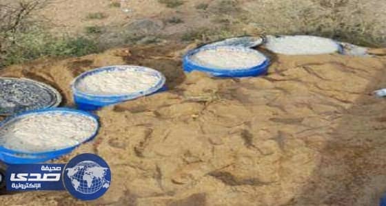 الدوريات السرية تضبط ثلاثة مصانع خمور بالخميس .. «صور»