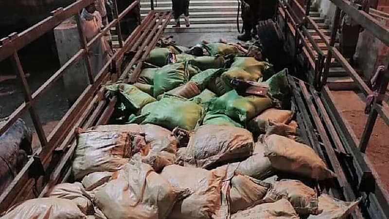 نائب يمني يتهم الحوثيين بتهريب 5 أطنان من الحشيش المخدر