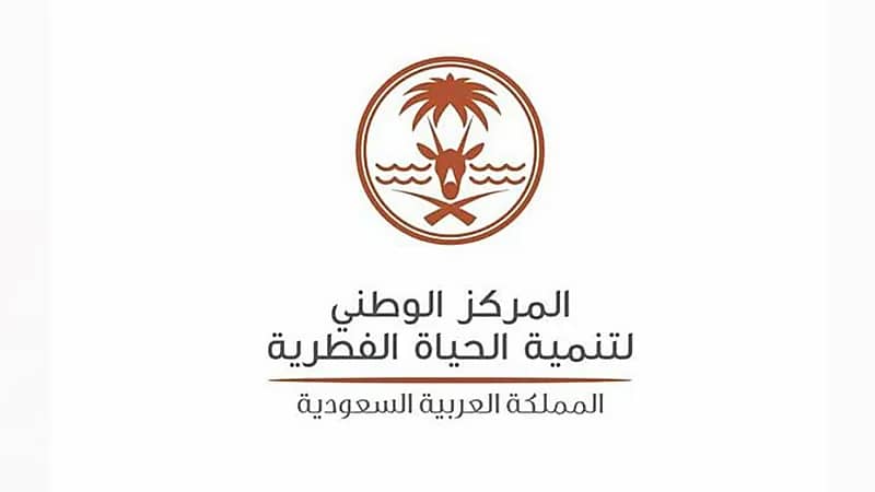 "الحياة الفطرية" تدعو مقتني الحيوانات المفترسة إلى تسليمها تجنبًا للمحاسبة القانونية 