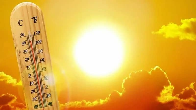 المدينة المنورة تسجل أعلى درجة حرارة اليوم 