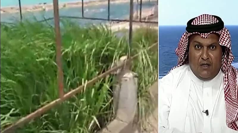 يوسف بندقجي :  نجحت في زراعة الأرز في الصحراء بمواد مبتكرة محلياً (فيديو)