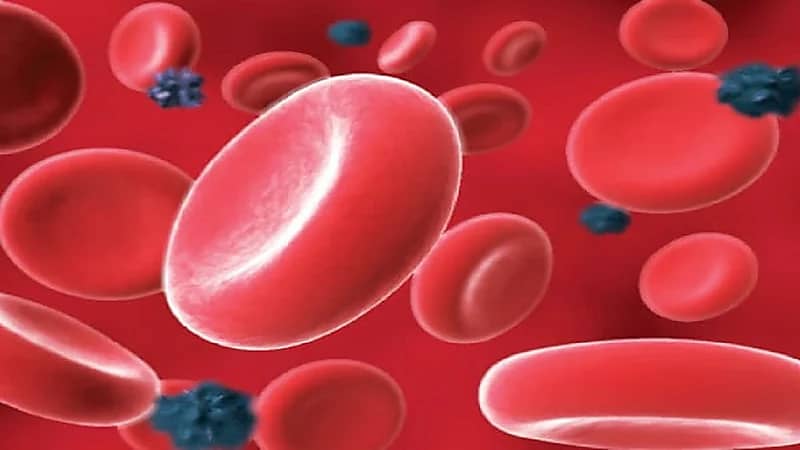التجمع الصحي الثاني:  نقل الدم باستمرار علاجا رئيسيا لـ "الثلاسيميا"