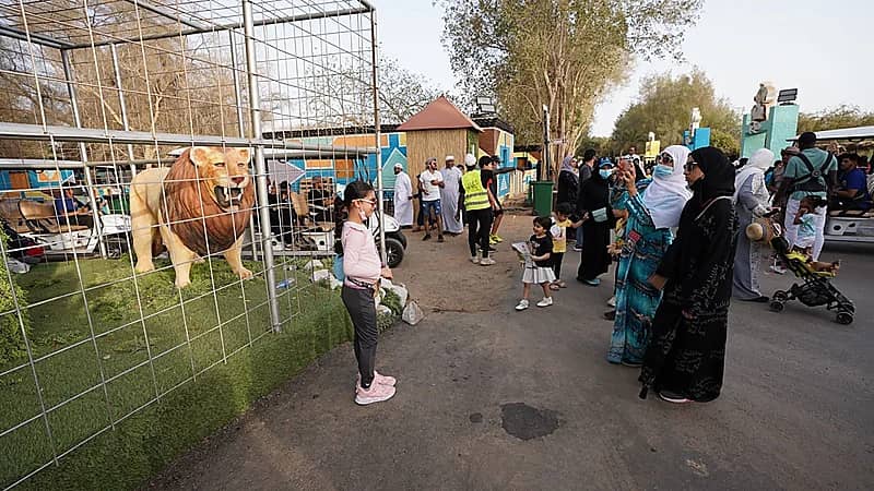 بالصور .. رحلة سفارة أفريقية وحيوانات نادرة ومفترسة في "جدة جنغل"