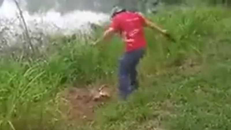 شاهد .. تمساح يجر رجل من سرواله بعدما رشقه بالحجارة