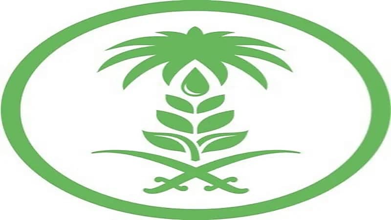 البيئة تعلن طرح 150 وظيفة للجنسين بنظام التعاقد في مختلف التخصصات