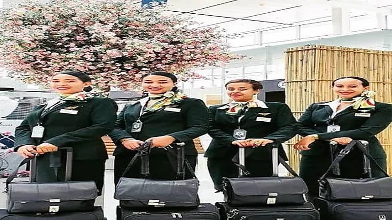 شاهد.. الخطوط الإثيوبية تنسف مشاركة طائراتها في أغراض عسكرية بابتسامة المضيفات