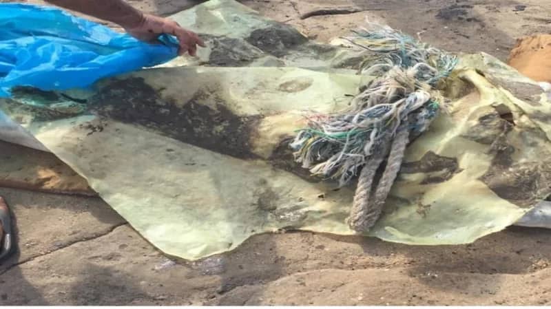 العثور على جثة فتاة مقطعة بأحد شوارع النجف العراقية