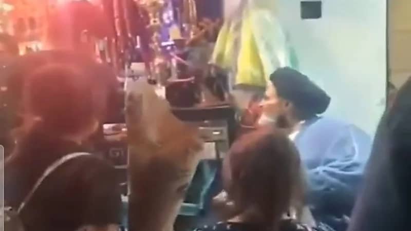 شاهد.. "الملا" يفضحه لسانه بأن عمامته لأجل معاشرة السيدات 