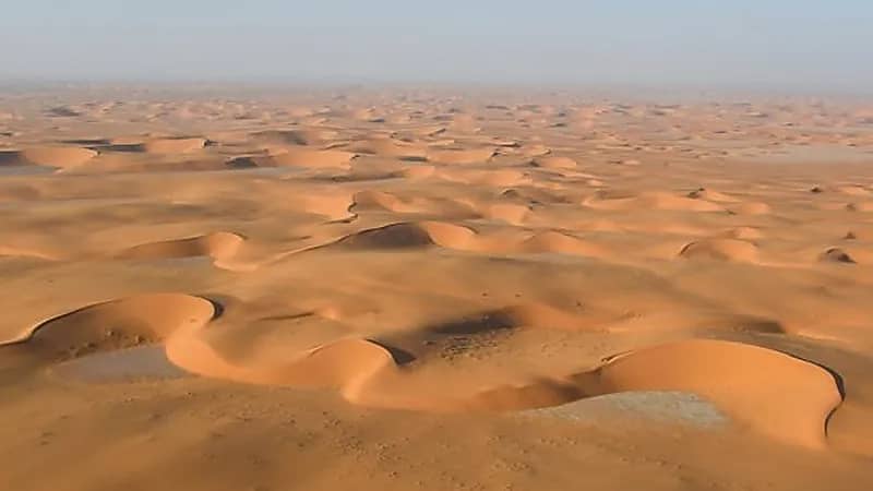 بالفيديو .. ثروات غالية بصحراء "الربع الخالي"