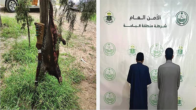 القبض على مواطنين لاصطيادهما كائنًا فطريًا مهددًا بالانقراض