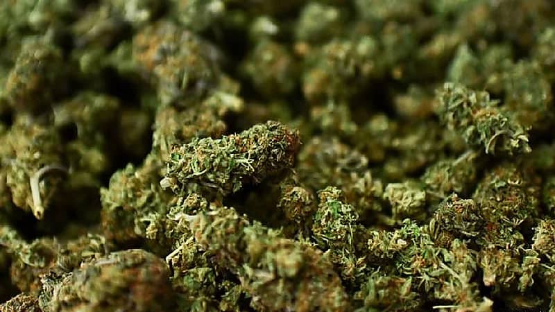 إحباط محاولتي تهريب 1.029 كيلوجرام من "مادة الماريجوانا