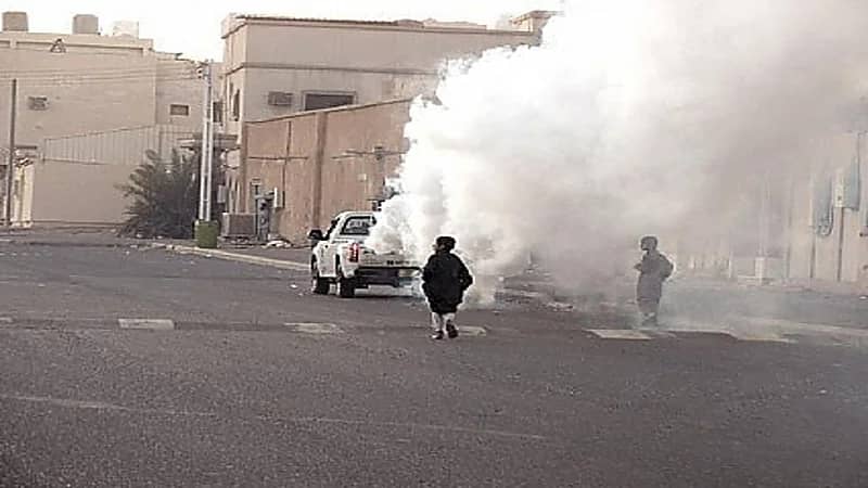 زمن الطيبين.. أطفال يجرون خلف سيارة الفليت.. صور