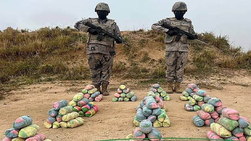 إحباط تهريبَ 63 كجم من القات