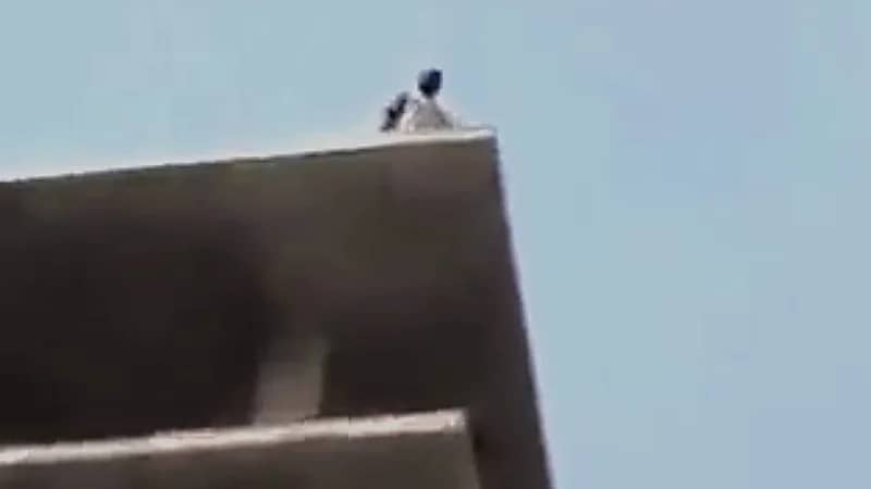 سوداني يهدد بالانتحار والمارة: اقفز عندنا شغل  ..  فيديو