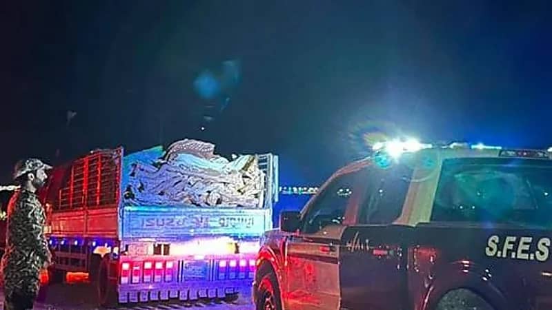 ضبط مخالفًا لنظام البيئة لنقله حطبًا محليًا بحائل