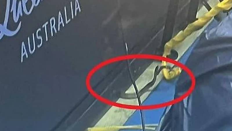 ثعبان يوقف مباراة تنس