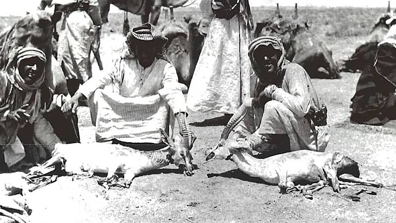 لقطة نادرة لرجال يصطادون الغزلان في أراضي الصلب جنوب ‎الصمان .. صورة