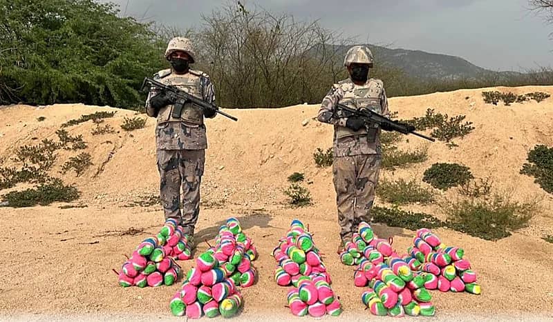 إحباط تهريب 62 كيلوجرامًا من القات المخدر بجازان