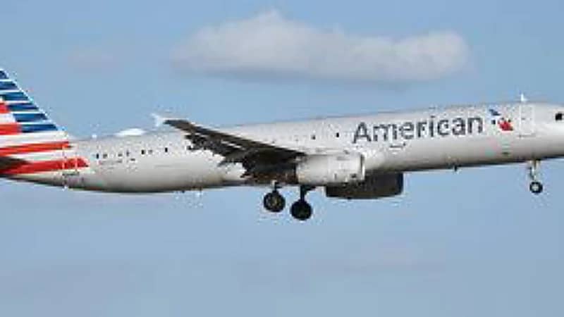 ذعر بين الركاب بعد اصطدام أرنب بمحرك طائرة .. فيديو