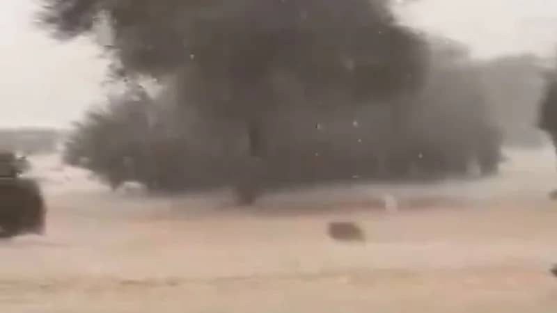 تساقط كثيف لحبات البرد في شمال شرق محافظة الطائف ..فيديو