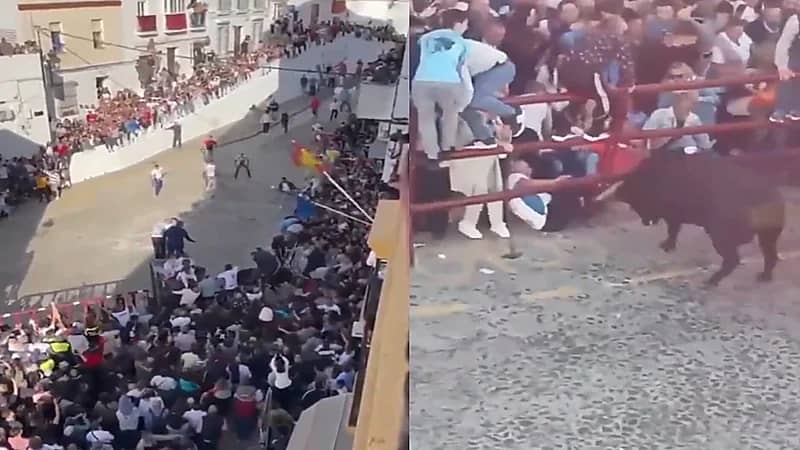 ثور هائج يقتحم صفوف المتفرجين في مهرجان شعبي.. فيديو