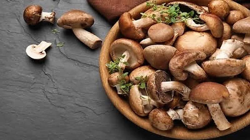 3 فوائد صحية فعالة لتناول المشروم