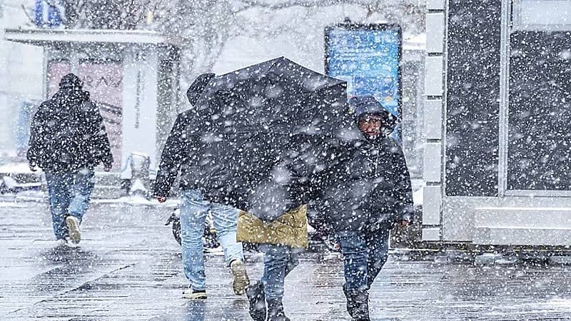 دقائق بيولوجية في الهواء تتحكم بهطول الأمطار وتطور الطقس