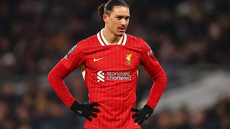 الكشف عن موقف أندية روشن من التعاقد مع نونيز