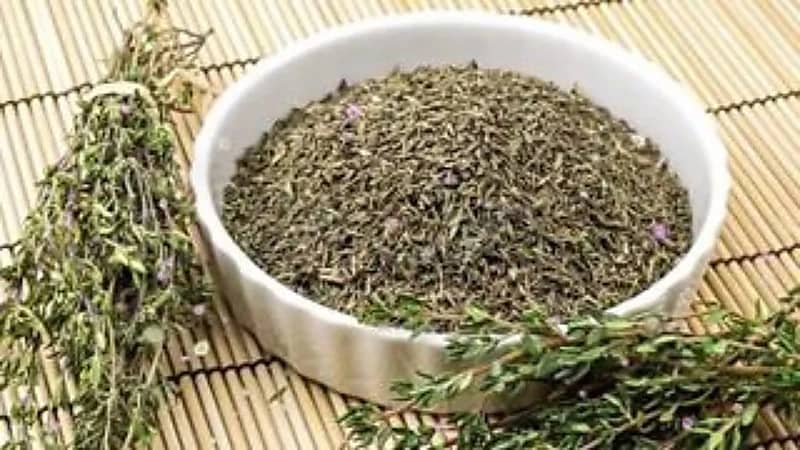 أخصائي يوضح فوائد تناول الزعتر يوميًا.. فيديو