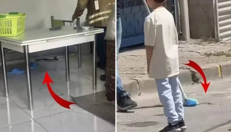 ثعابين تثير الذعر في إسطنبول بالتزامن مع موجة حر شديدة .. صور